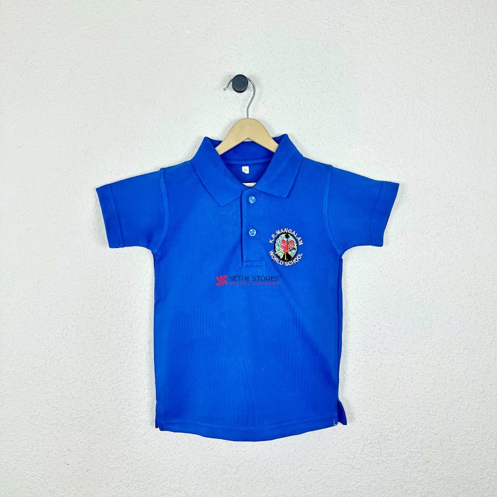 House T-Shirt for K.R Mangalam World School Sapphire House Uniform