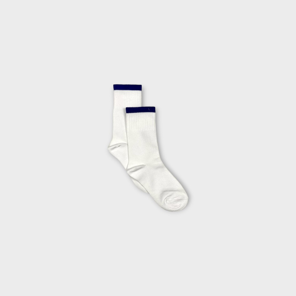 VBPS House Socks - Blue House