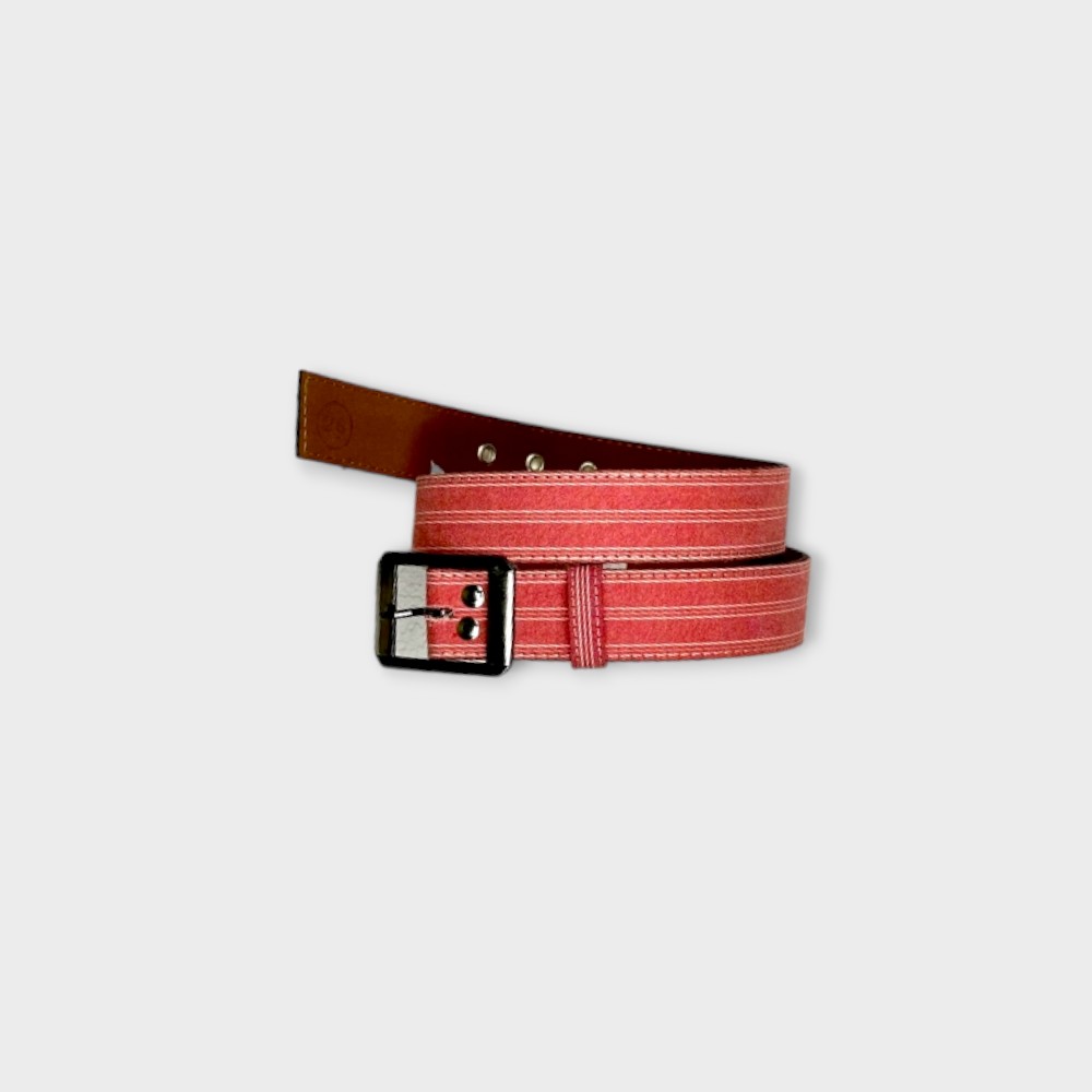 VBPS School Belt