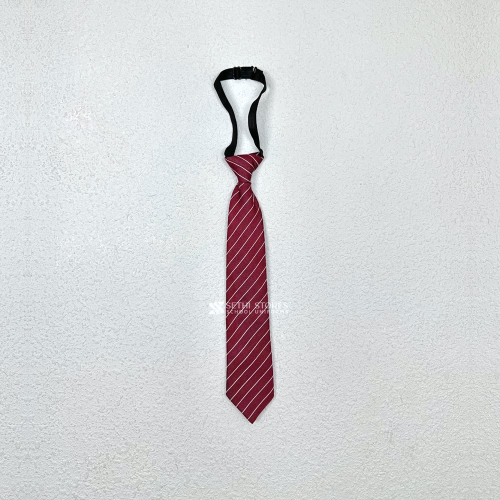 Apeejay School Tie for Winter Uniform