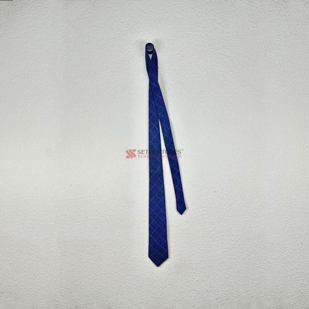 Shah International School Tie for winter uniform.