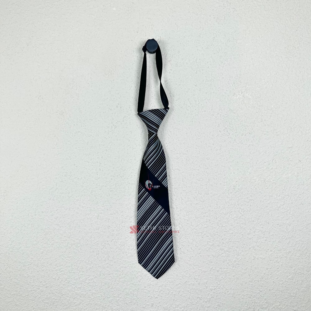 G.D Goenka Public School Tie