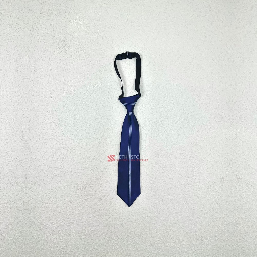 Indraprastha School Tie.